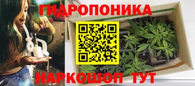 ГАЛЛЮЦИНОГЕННЫЕ ГРИБЫ Краснознаменск