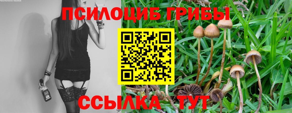 Галлюциногенные грибы MAGIC MUSHROOMS Ковров
