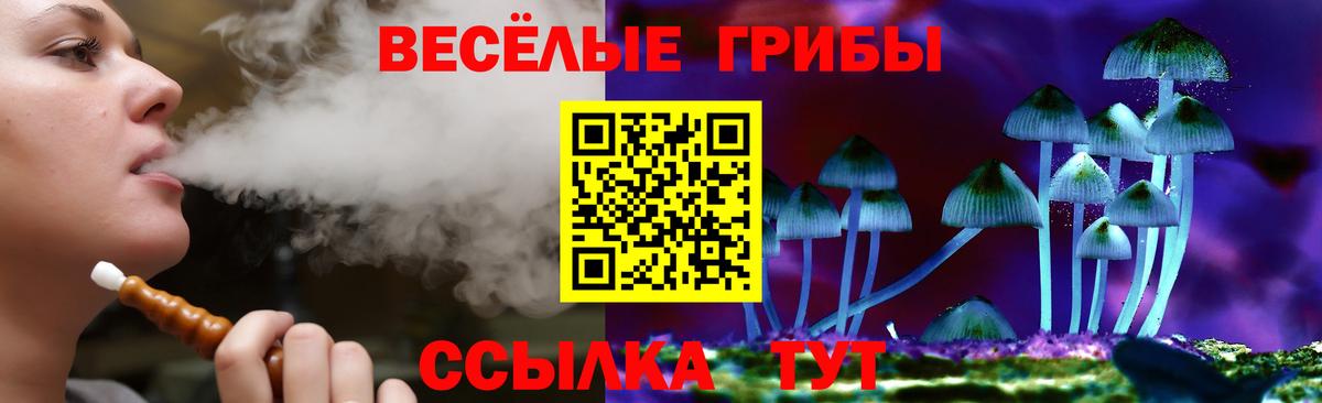 Псилоцибиновые грибы GOLDEN TEACHER  Вход с VPN  Ковров 